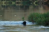 Image 6-11