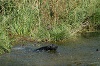 Image 6-12