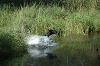 Image 6-12
