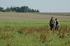 Image 6-9